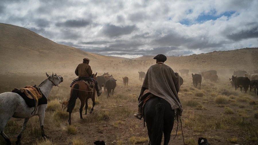 Go off the grid at horse ranches in Patagonia