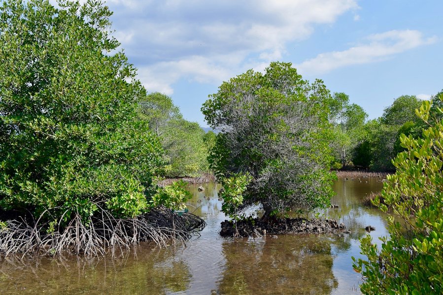 Building and funding Asia's infrastructure for a climate-resilient tomorrow