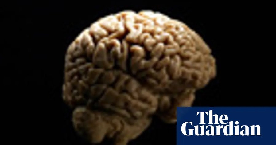 Bipedalism, birth and brain evolution
