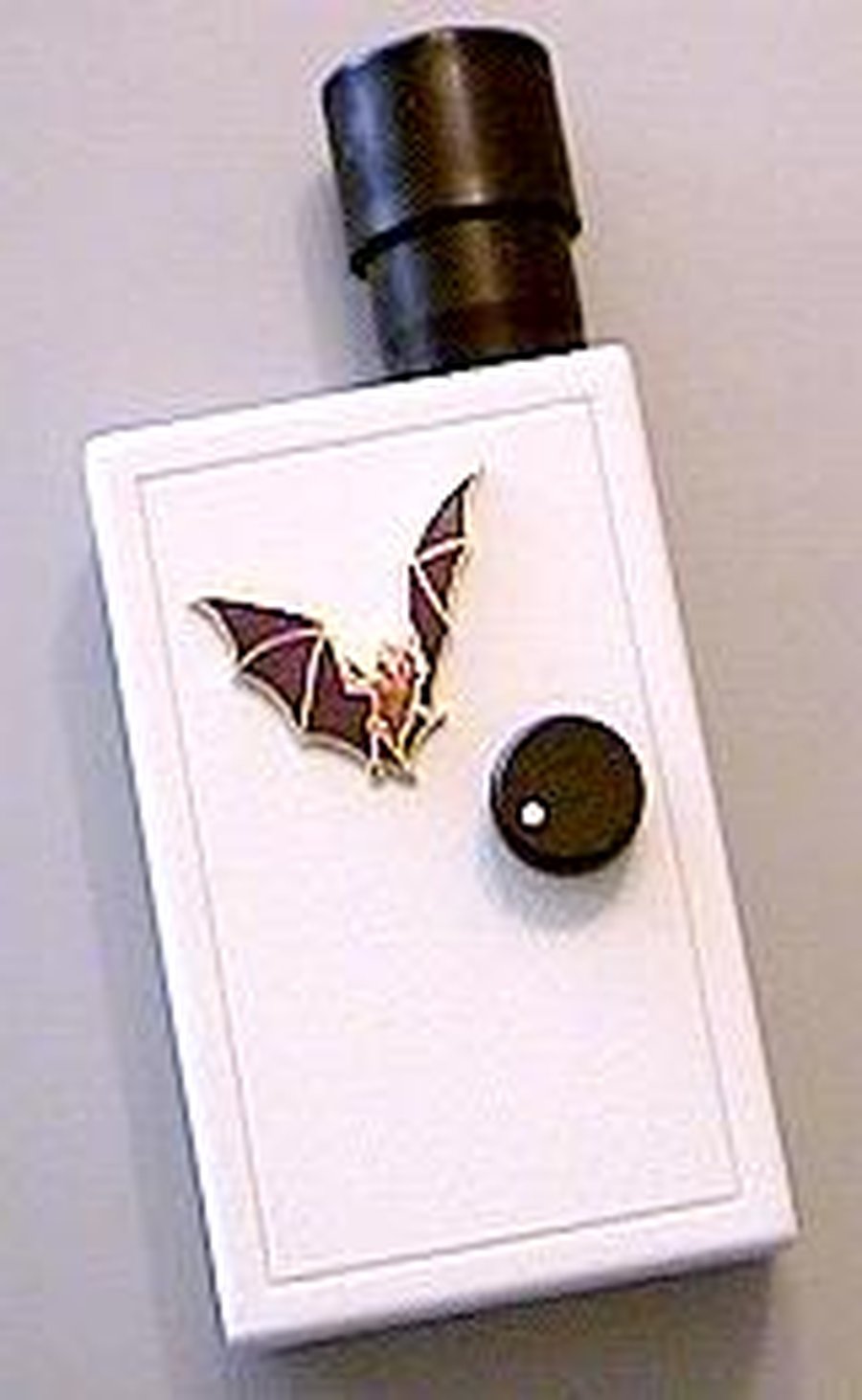 Build a Simple Bat Detector