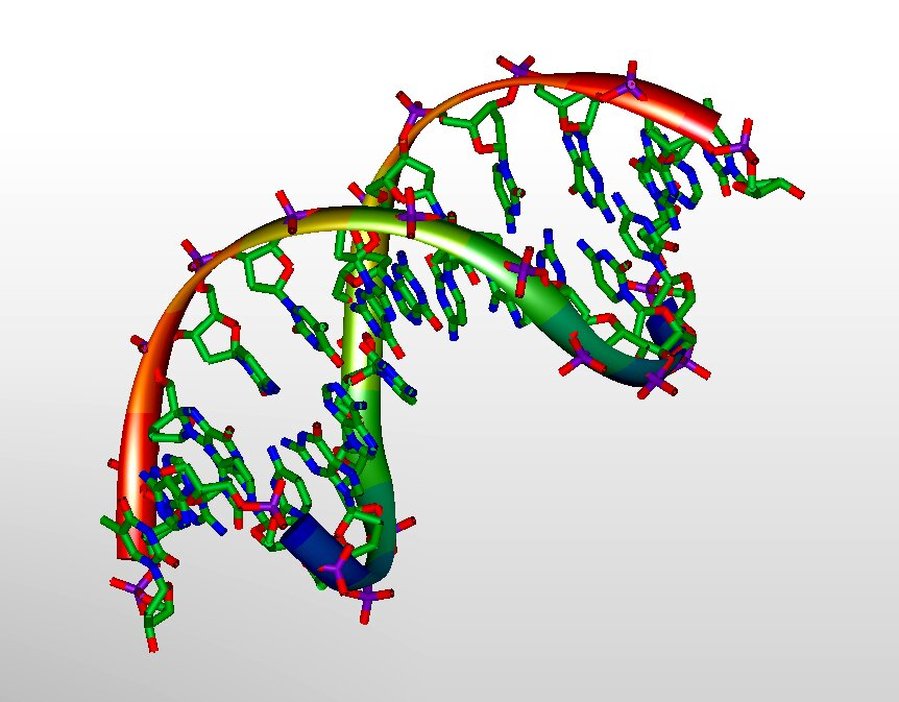 A technique for labeling and retrieving DNA data files from a large pool could help make DNA data storage feasible