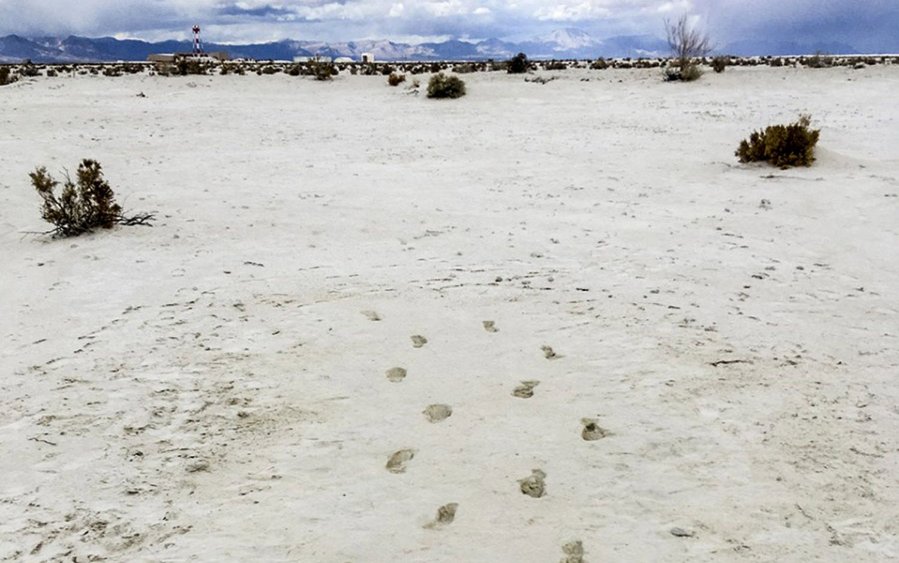 The First Americans – a story of wonderful, uncertain science