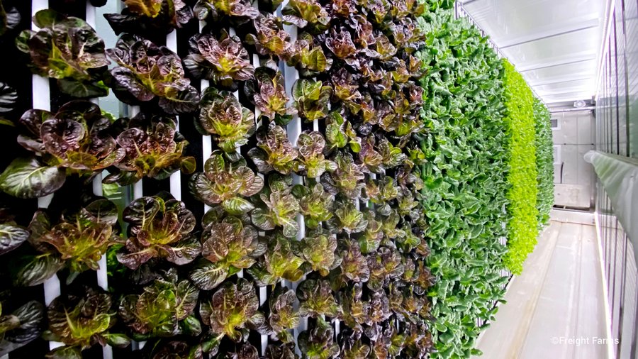 Want your own farm? This one comes in a shipping container
