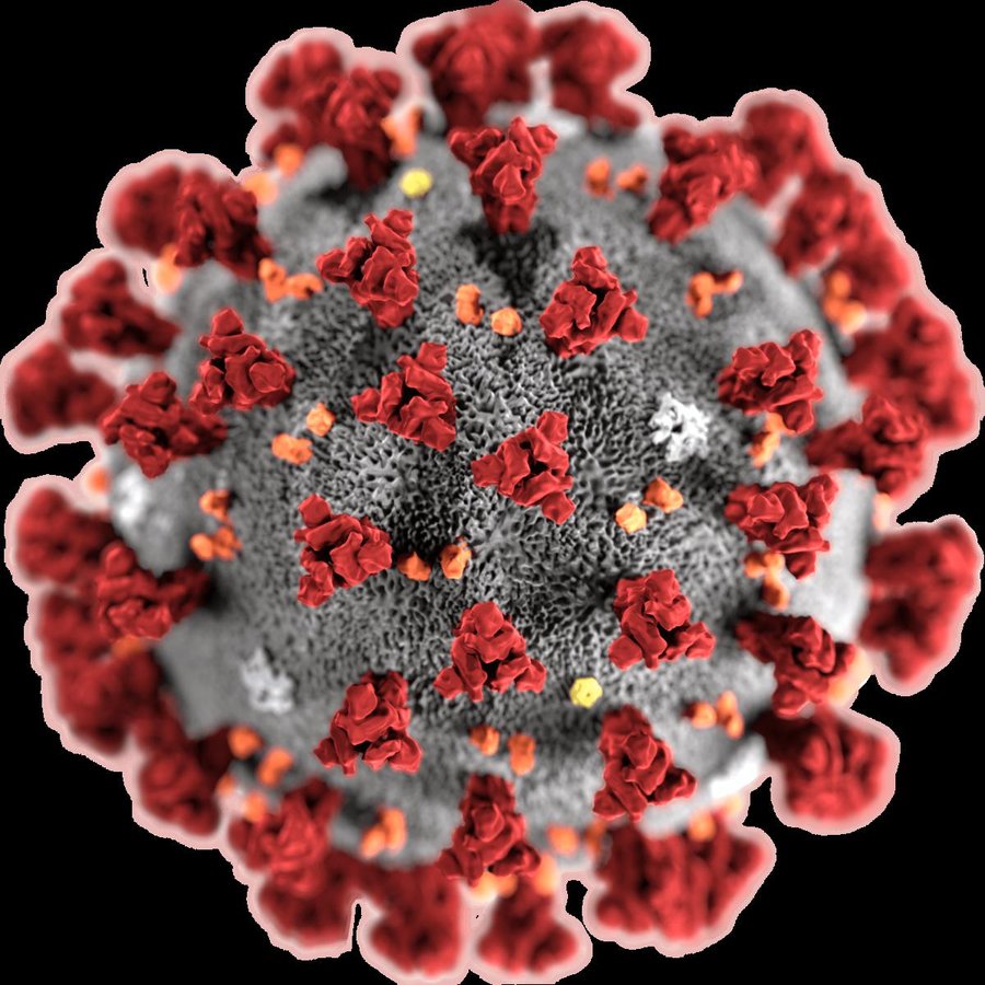 from headline at https://en.wikipedia.org/wiki/Virus.