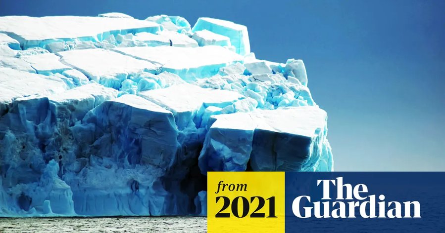 Researchers rethink life in a cold climate after Antarctic find