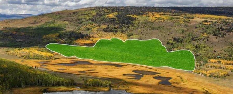 The World's Largest Organism Is Slowly Being Eaten, Scientist Says