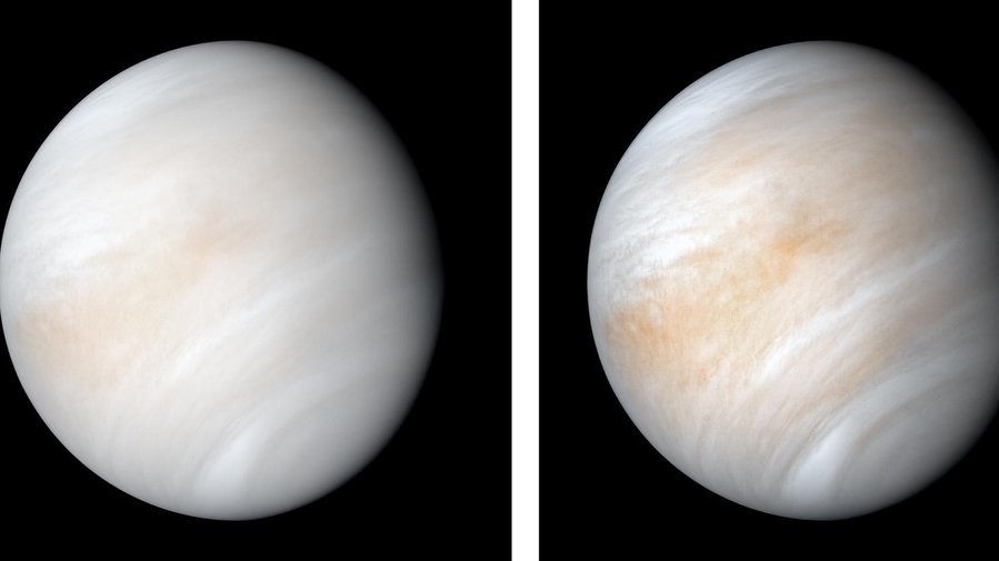 A Possible Sign Of Life Right Next Door To Earth, On Venus
