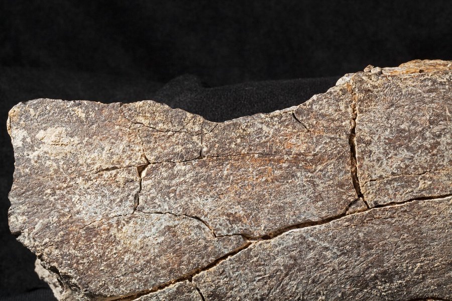 Remarkable New Evidence for Human Activity in North America 130,000 Years Ago