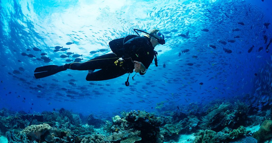The world's biggest ocean is in peril