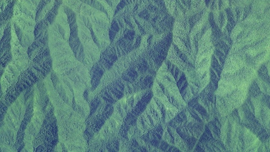During droughts, thirstier mountain forests could mean less water downstream