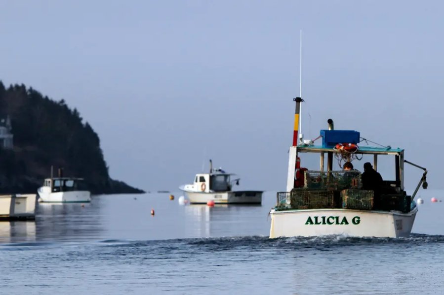 Federal law from 1970s may be linked to fatal Maine shark attack