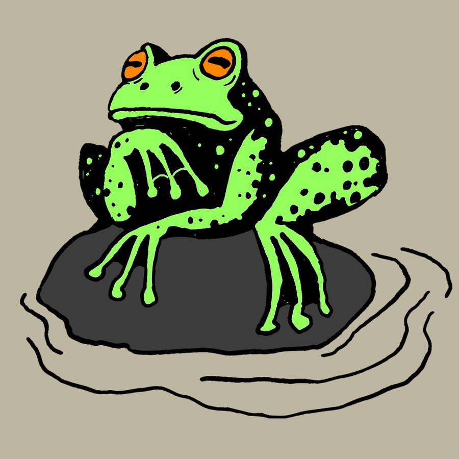 frog chorus